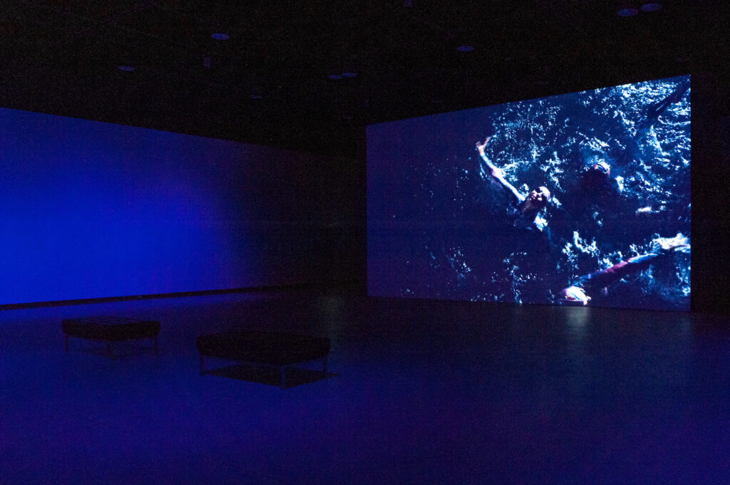 Diver, installation view 1