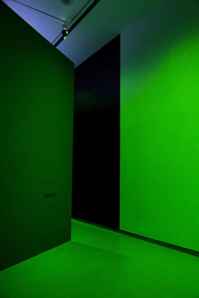 Postcommodity, AGYU Installation