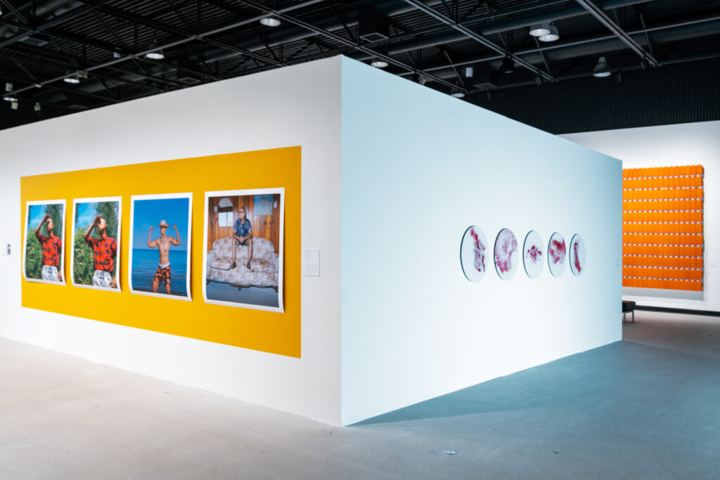 The Gender Conspiracy, installation view 3