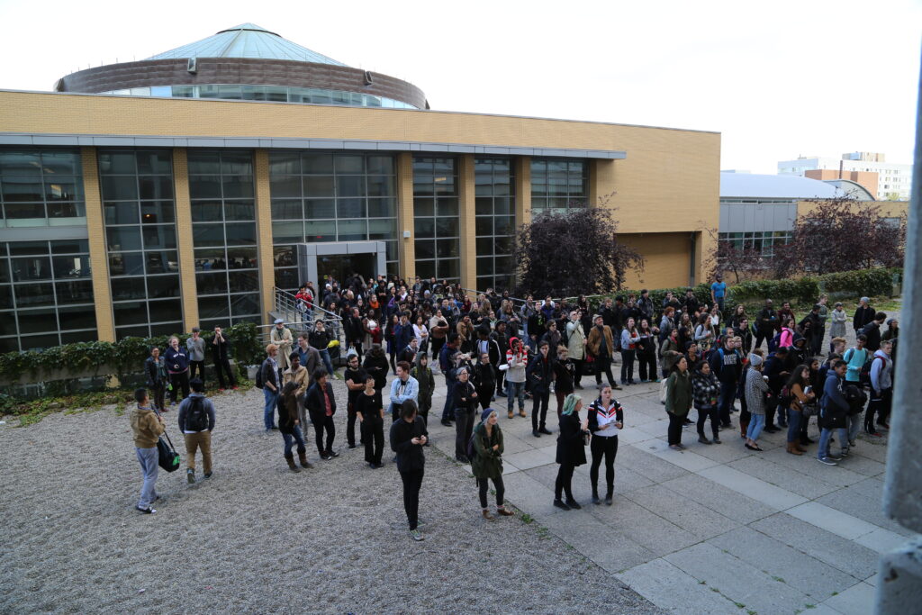 York University Audience